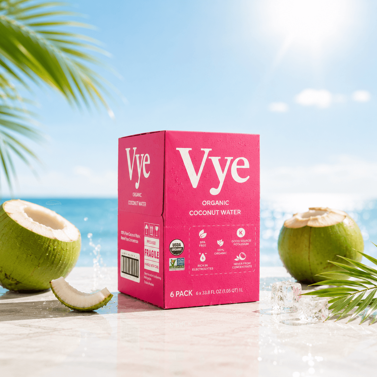 Vye organic coconut water six-pack box